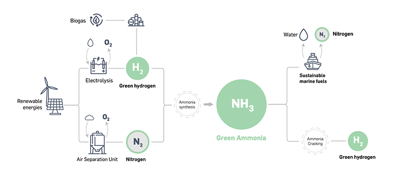 green ammonia